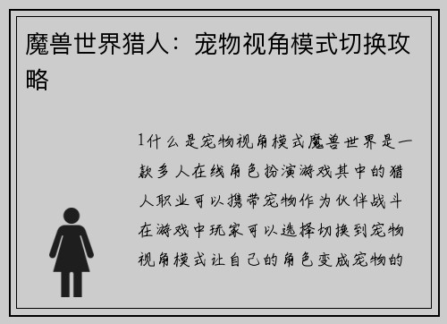 魔兽世界猎人：宠物视角模式切换攻略